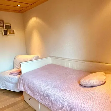 Luxurious Flat With Jacuzzi Sauna Schonried